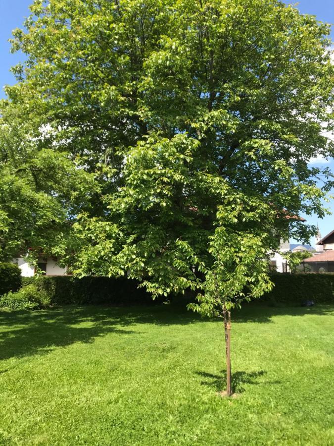 Villa Nussbaum Golling an der Salzach Exterior foto